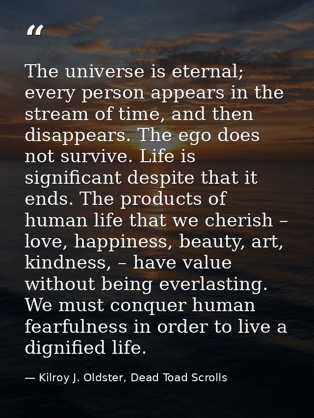 The universe is eternal; every person appears in the stream of time, and then disappears. The ego does not survive. Life — Kilroy J. Oldster, Dead Toad Scrolls