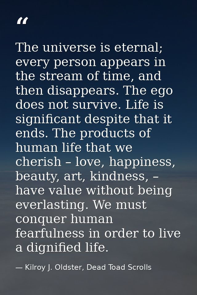 The universe is eternal; every person appears in the stream of time, and then disappears. The ego does not survive. Life — Kilroy J. Oldster, Dead Toad Scrolls