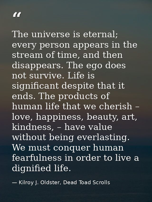 The universe is eternal; every person appears in the stream of time, and then disappears. The ego does not survive. Life — Kilroy J. Oldster, Dead Toad Scrolls