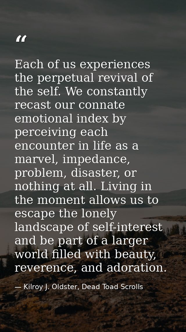 Each of us experiences the perpetual revival of the self. We constantly recast our connate emotional index by perceiving — Kilroy J. Oldster, Dead Toad Scrolls