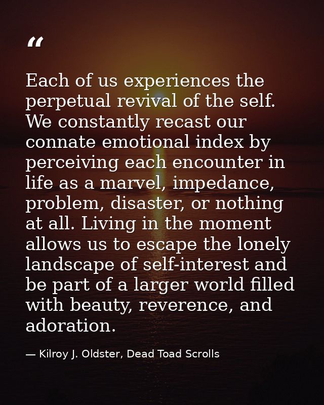 Each of us experiences the perpetual revival of the self. We constantly recast our connate emotional index by perceiving — Kilroy J. Oldster, Dead Toad Scrolls