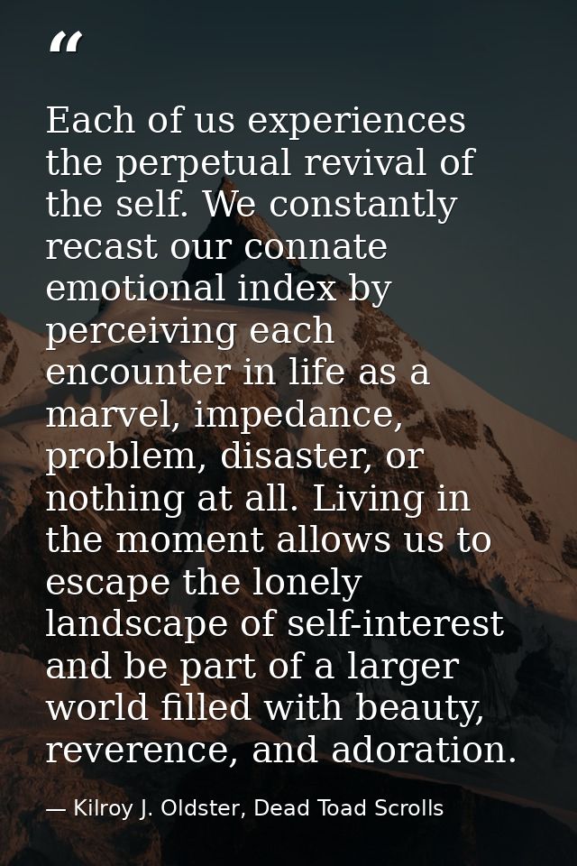 Each of us experiences the perpetual revival of the self. We constantly recast our connate emotional index by perceiving — Kilroy J. Oldster, Dead Toad Scrolls