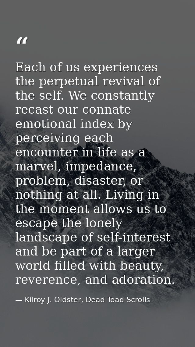 Each of us experiences the perpetual revival of the self. We constantly recast our connate emotional index by perceiving — Kilroy J. Oldster, Dead Toad Scrolls
