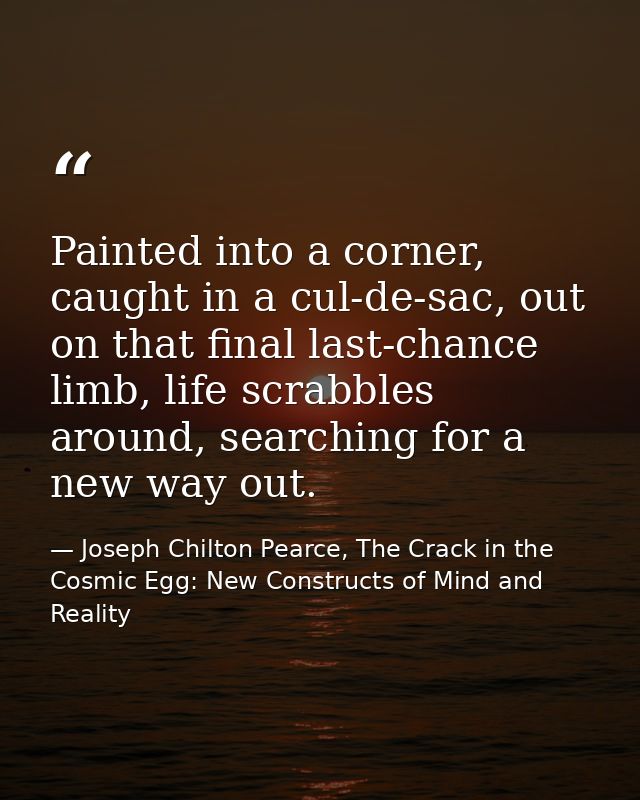 Painted into a corner, caught in a cul-de-sac, out on that final last-chance limb, life scrabbles around, searching for  — Joseph Chilton Pearce, The Crack in the Cosmic Egg: New Constructs of Mind and Reality