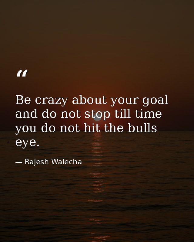 Be crazy about your goal and do not stop till time you do not hit the bulls eye. — Rajesh Walecha