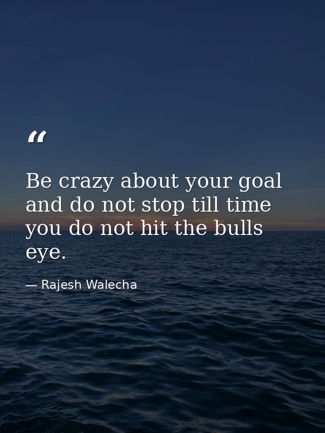 Be crazy about your goal and do not stop till time you do not hit the bulls eye. — Rajesh Walecha