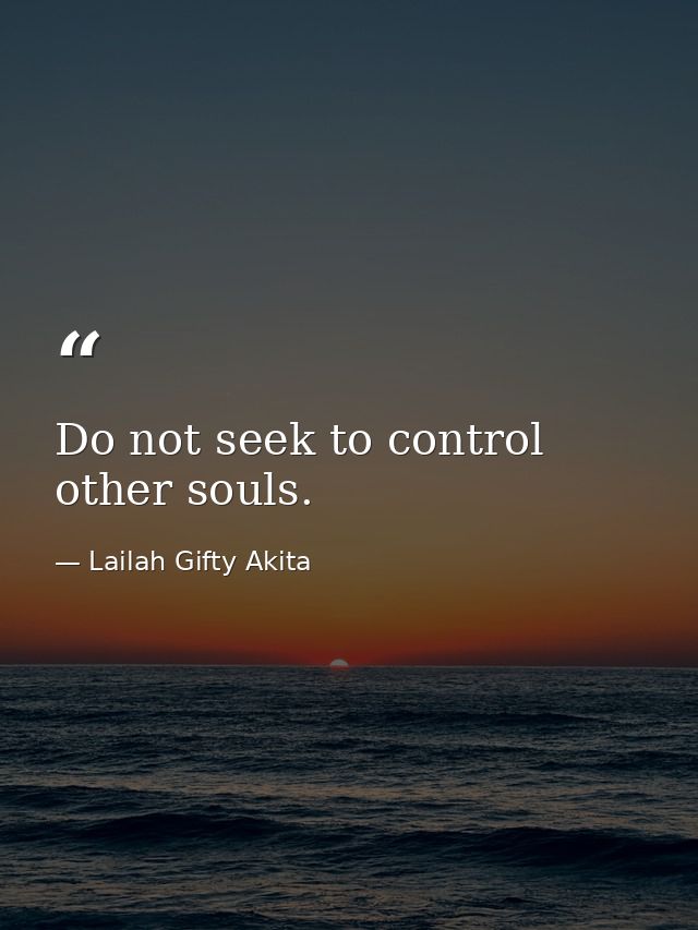 Do not seek to control other souls. — Lailah Gifty Akita