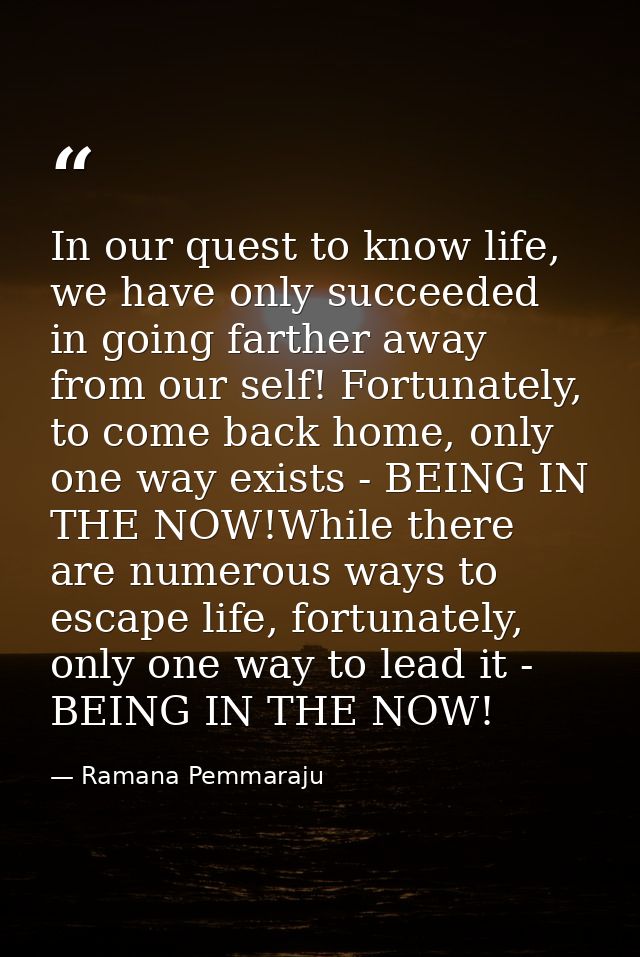In our quest to know life, we have only succeeded in going farther away from our self! Fortunately, to come back home, o — Ramana Pemmaraju