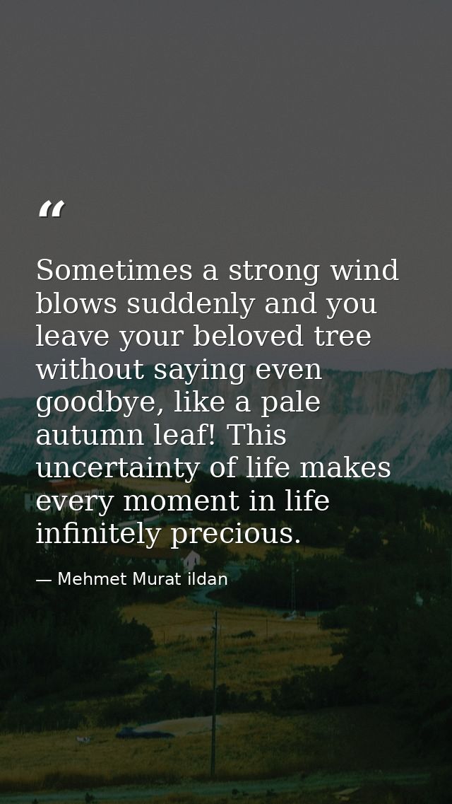 Sometimes a strong wind blows suddenly and you leave your beloved tree without saying even goodbye, like a pale autumn l — Mehmet Murat ildan