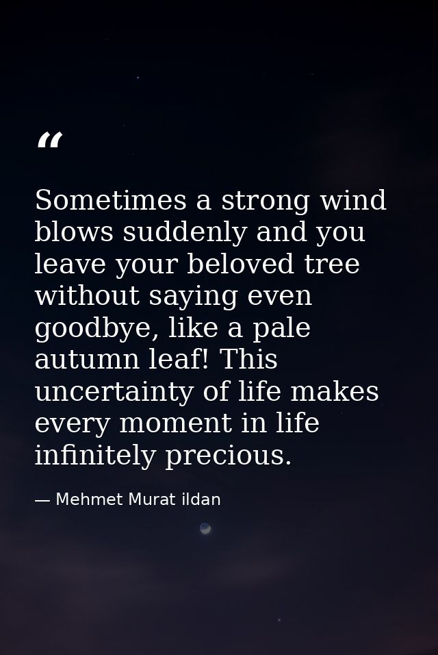 Sometimes a strong wind blows suddenly and you leave your beloved tree without saying even goodbye, like a pale autumn l — Mehmet Murat ildan