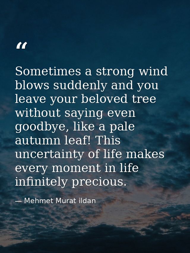 Sometimes a strong wind blows suddenly and you leave your beloved tree without saying even goodbye, like a pale autumn l — Mehmet Murat ildan