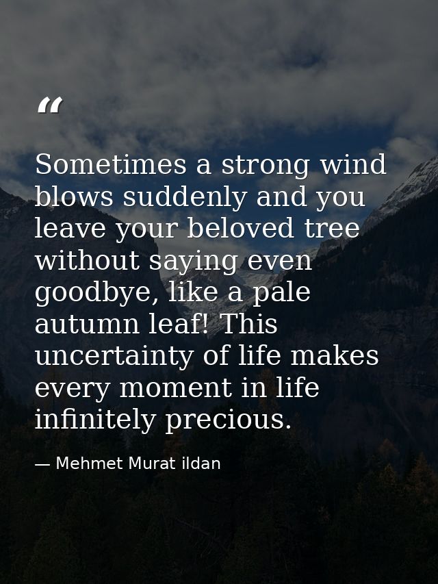 Sometimes a strong wind blows suddenly and you leave your beloved tree without saying even goodbye, like a pale autumn l — Mehmet Murat ildan