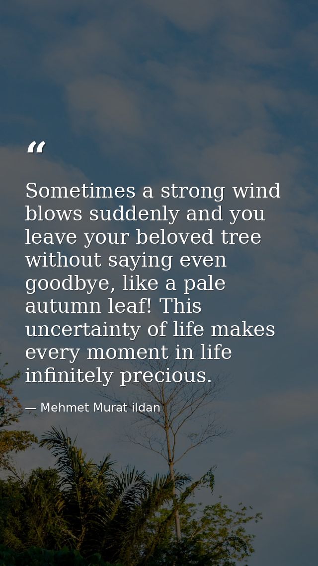 Sometimes a strong wind blows suddenly and you leave your beloved tree without saying even goodbye, like a pale autumn l — Mehmet Murat ildan