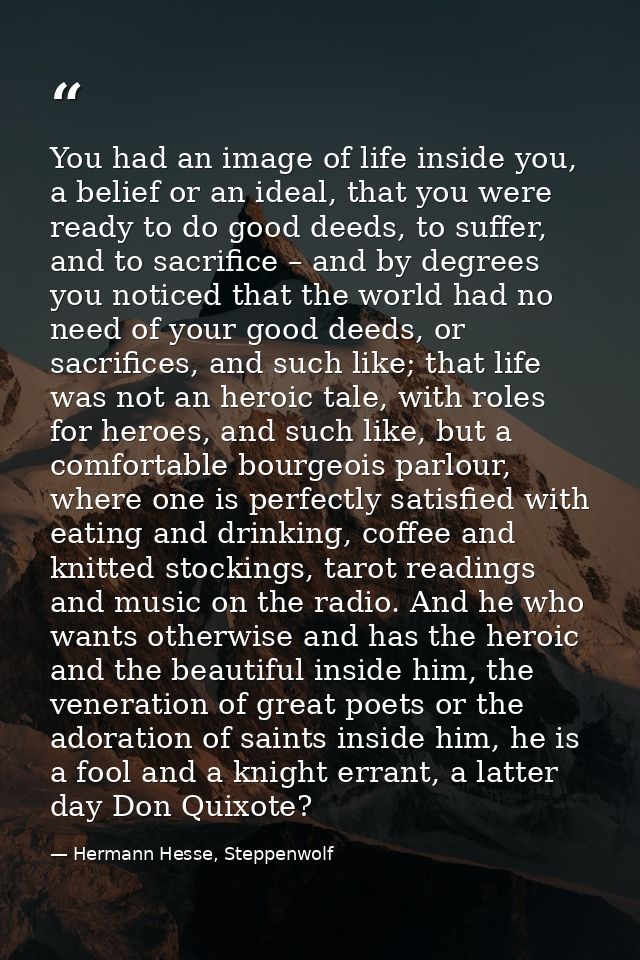 You had an image of life inside you, a belief or an ideal, that you were ready to do good deeds, to suffer, and to sacri — Hermann Hesse, Steppenwolf