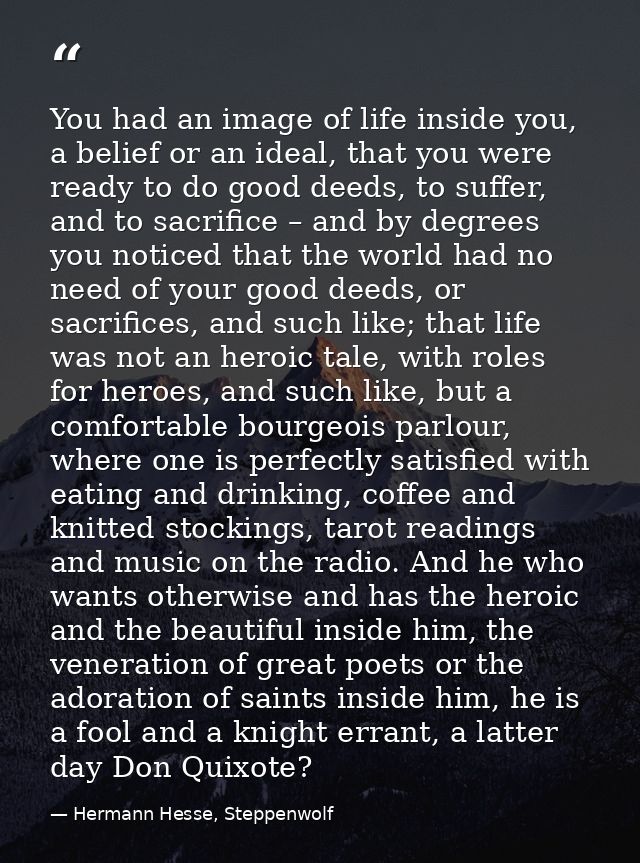 You had an image of life inside you, a belief or an ideal, that you were ready to do good deeds, to suffer, and to sacri — Hermann Hesse, Steppenwolf
