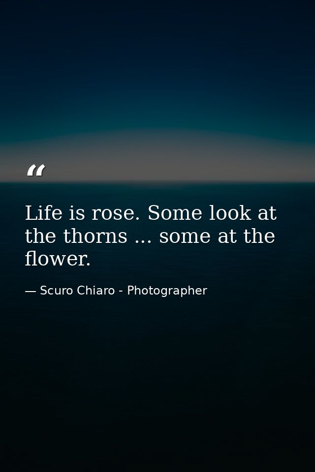 Life is rose. Some look at the thorns ... some at the flower. — Scuro Chiaro - Photographer