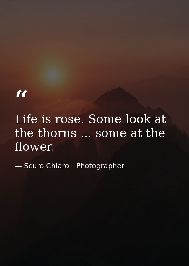 Life is rose. Some look at the thorns ... some at the flower. — Scuro Chiaro - Photographer