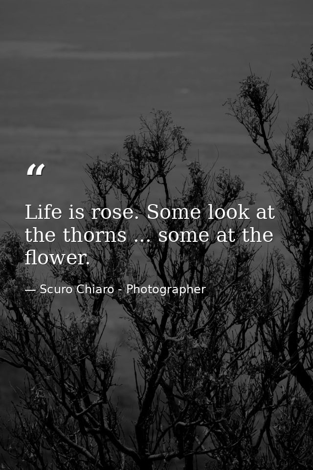 Life is rose. Some look at the thorns ... some at the flower. — Scuro Chiaro - Photographer