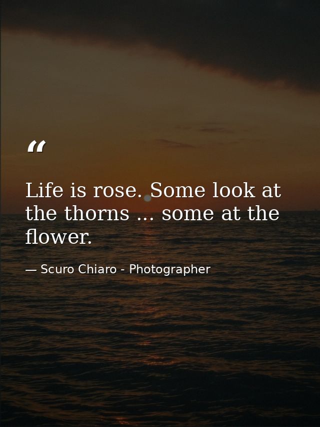 Life is rose. Some look at the thorns ... some at the flower. — Scuro Chiaro - Photographer