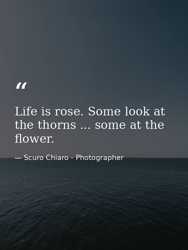 Life is rose. Some look at the thorns ... some at the flower. — Scuro Chiaro - Photographer