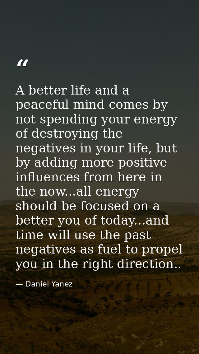 A better life and a peaceful mind comes by not spending your energy of destroying the negatives in your life, but by add — Daniel Yanez