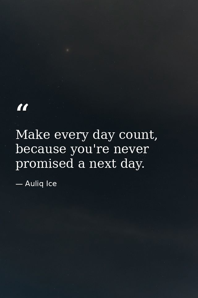 Make every day count, because you're never promised a next day. — Auliq Ice