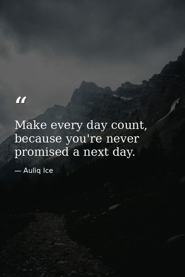 Make every day count, because you're never promised a next day. — Auliq Ice