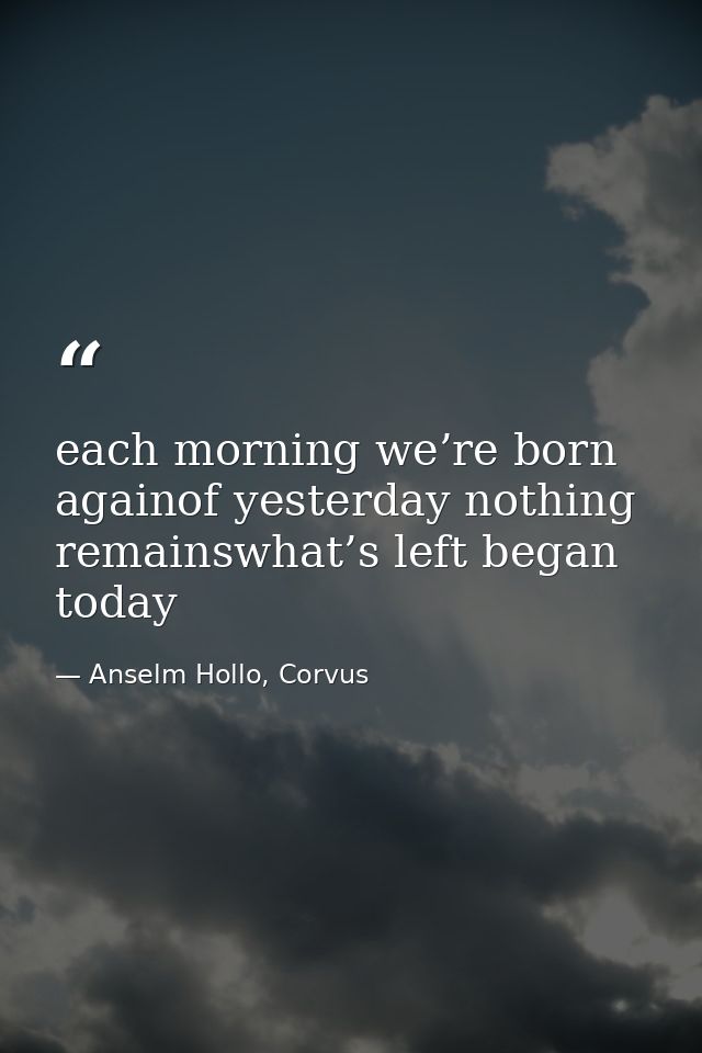 each morning we’re born againof yesterday nothing remainswhat’s left began today — Anselm Hollo, Corvus