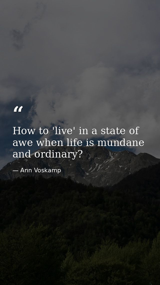 How to 'live' in a state of awe when life is mundane and ordinary? — Ann Voskamp