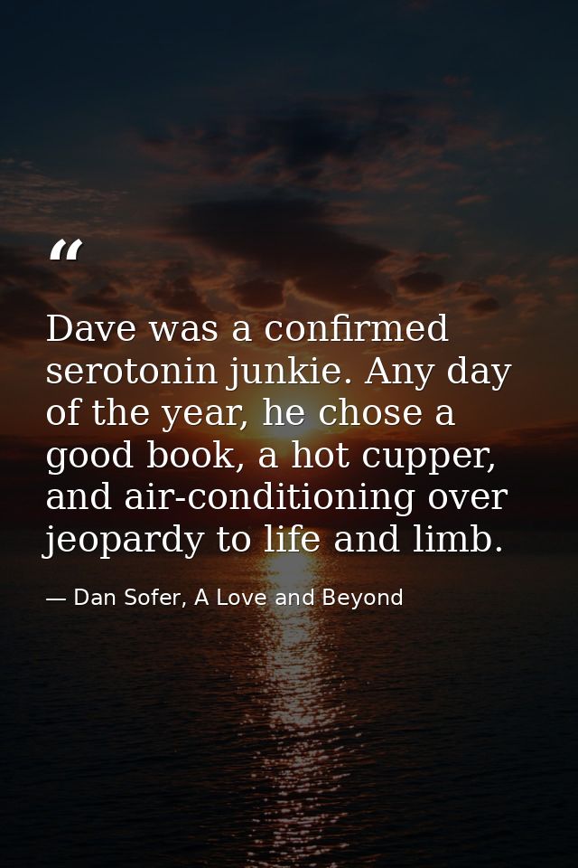 Dave was a confirmed serotonin junkie. Any day of the year, he chose a good book, a hot cupper, and air-conditioning ove — Dan Sofer, A Love and Beyond