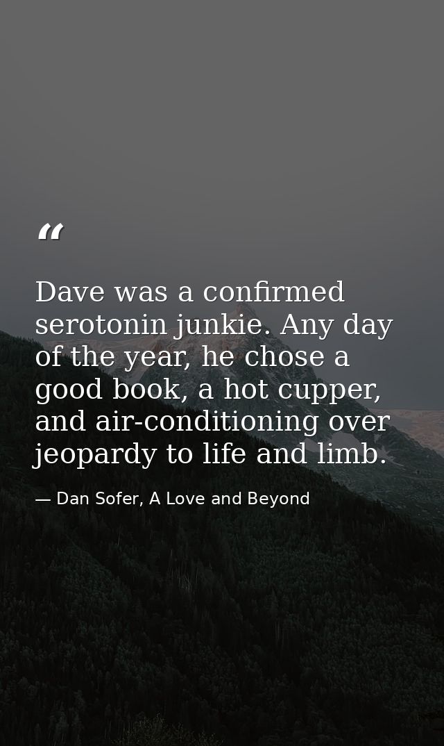 Dave was a confirmed serotonin junkie. Any day of the year, he chose a good book, a hot cupper, and air-conditioning ove — Dan Sofer, A Love and Beyond