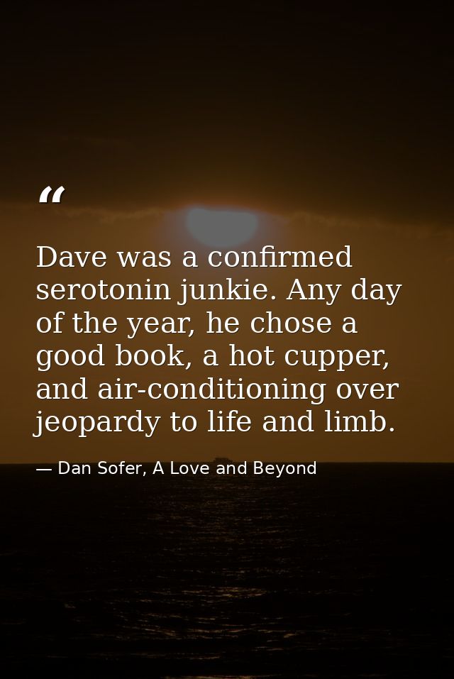 Dave was a confirmed serotonin junkie. Any day of the year, he chose a good book, a hot cupper, and air-conditioning ove — Dan Sofer, A Love and Beyond