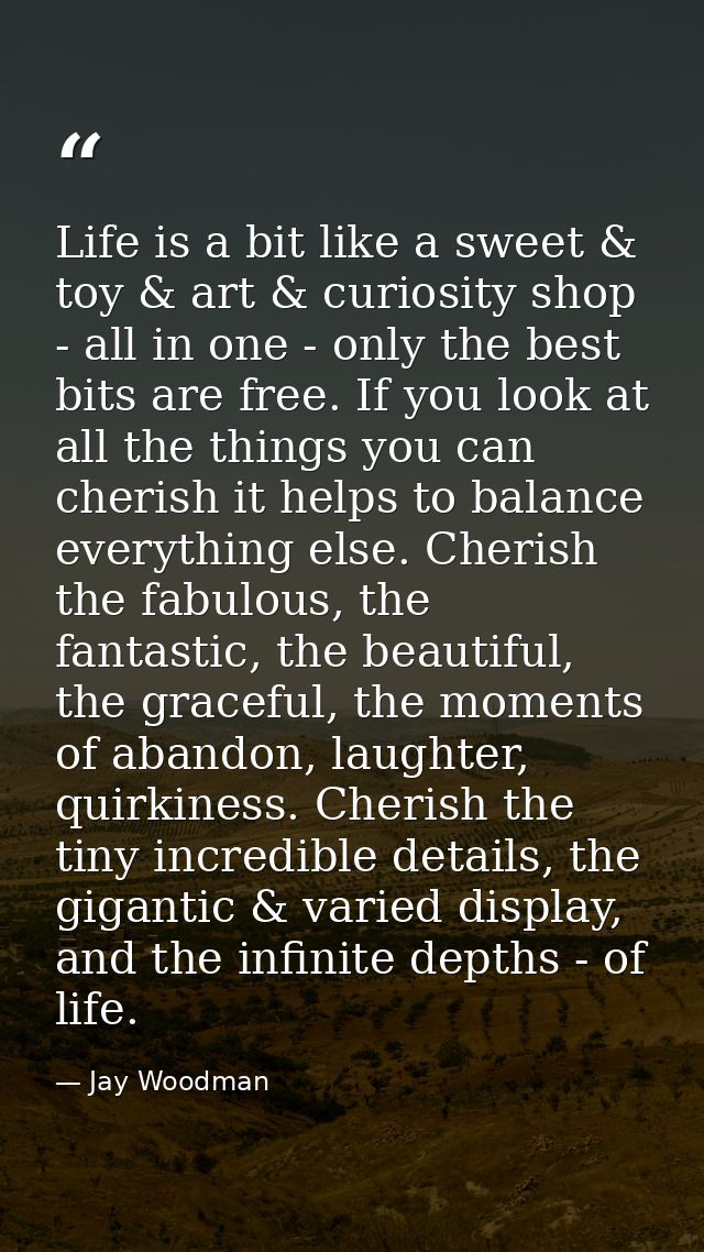 Life is a bit like a sweet & toy & art & curiosity shop - all in one - only the best bits are free. If you look at all t — Jay Woodman