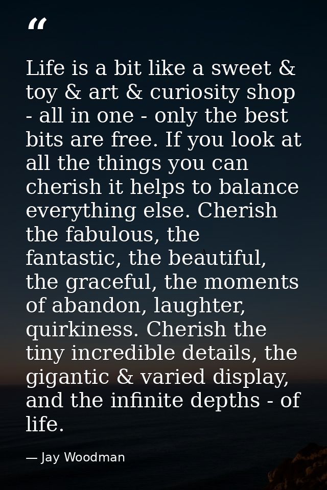 Life is a bit like a sweet & toy & art & curiosity shop - all in one - only the best bits are free. If you look at all t — Jay Woodman