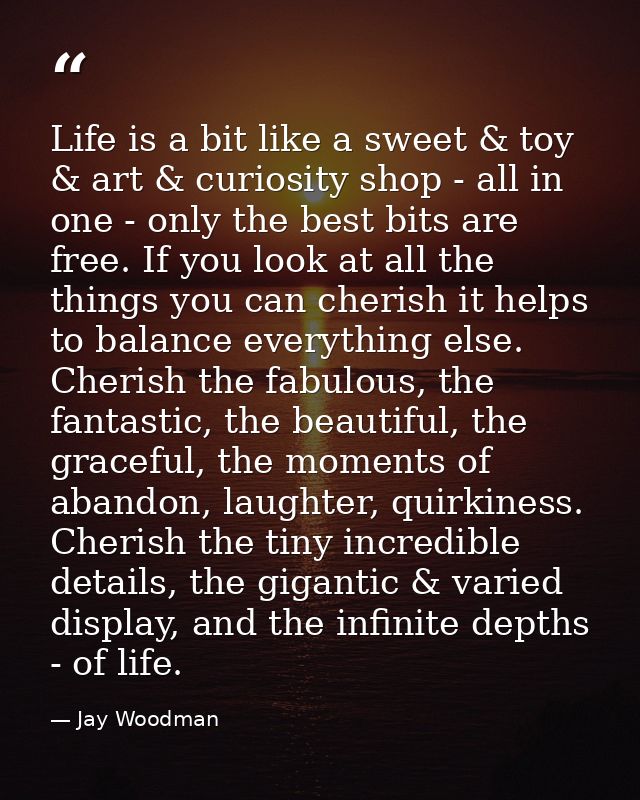 Life is a bit like a sweet & toy & art & curiosity shop - all in one - only the best bits are free. If you look at all t — Jay Woodman