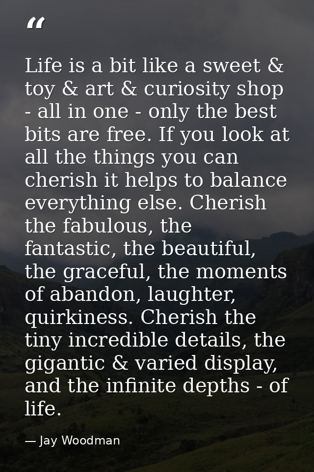 Life is a bit like a sweet & toy & art & curiosity shop - all in one - only the best bits are free. If you look at all t — Jay Woodman