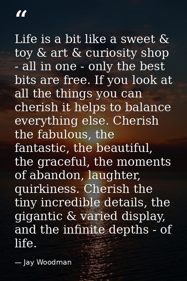 Life is a bit like a sweet & toy & art & curiosity shop - all in one - only the best bits are free. If you look at all t — Jay Woodman