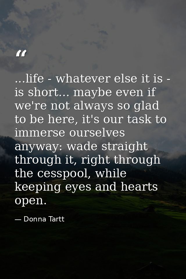 ...life - whatever else it is - is short... maybe even if we're not always so glad to be here, it's our task to immerse  — Donna Tartt