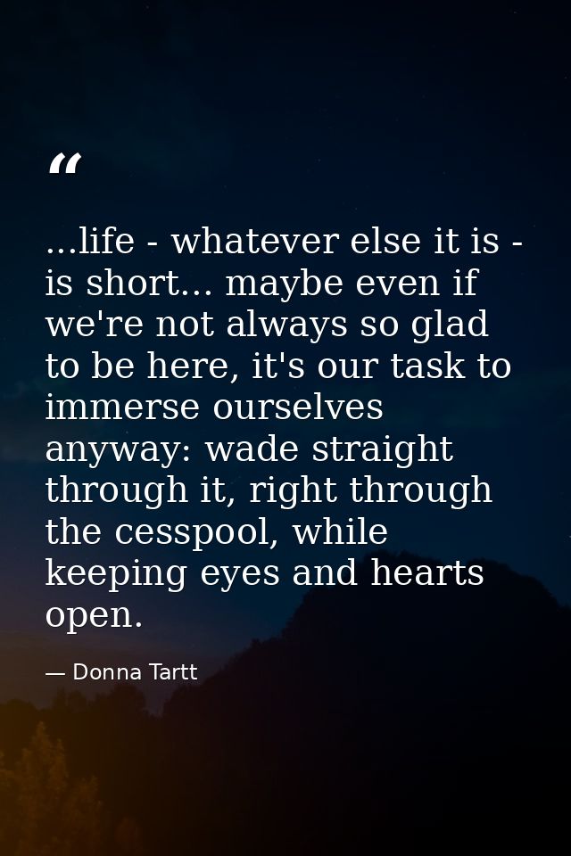 ...life - whatever else it is - is short... maybe even if we're not always so glad to be here, it's our task to immerse  — Donna Tartt