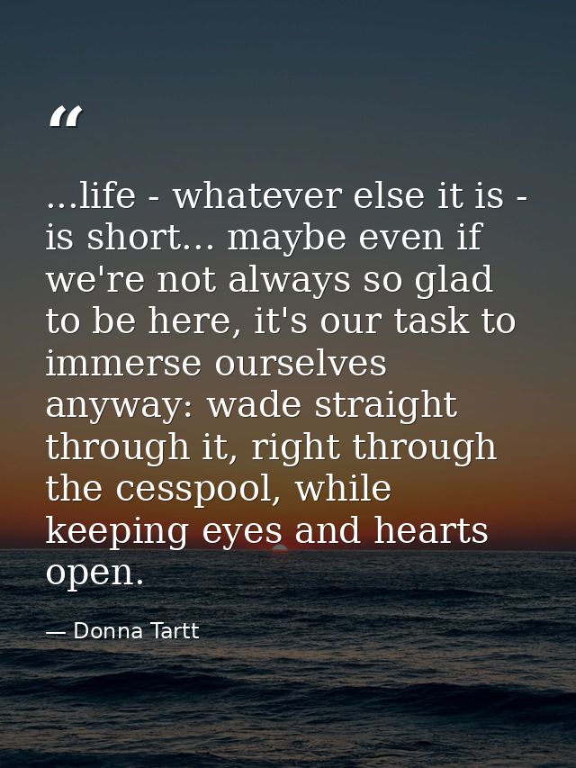 ...life - whatever else it is - is short... maybe even if we're not always so glad to be here, it's our task to immerse  — Donna Tartt