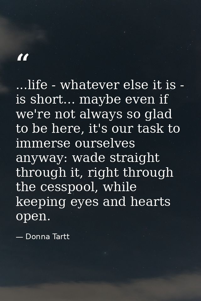 ...life - whatever else it is - is short... maybe even if we're not always so glad to be here, it's our task to immerse  — Donna Tartt