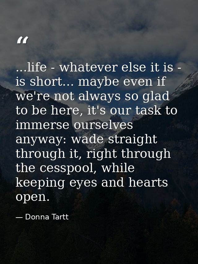 ...life - whatever else it is - is short... maybe even if we're not always so glad to be here, it's our task to immerse  — Donna Tartt