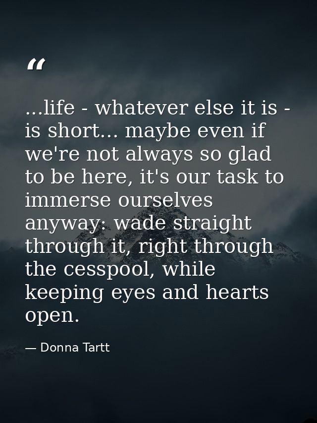 ...life - whatever else it is - is short... maybe even if we're not always so glad to be here, it's our task to immerse  — Donna Tartt