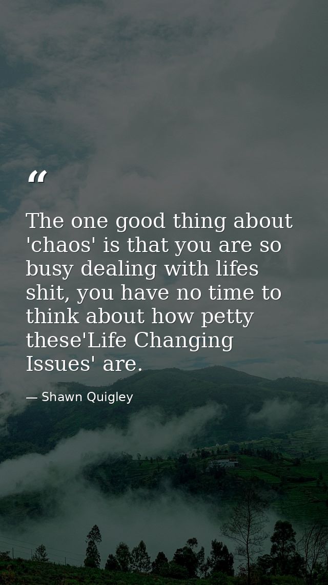 The one good thing about 'chaos' is that you are so busy dealing with lifes shit, you have no time to think about how pe — Shawn Quigley