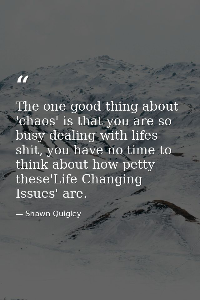 The one good thing about 'chaos' is that you are so busy dealing with lifes shit, you have no time to think about how pe — Shawn Quigley