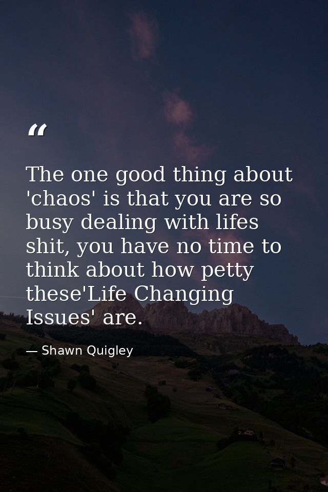 The one good thing about 'chaos' is that you are so busy dealing with lifes shit, you have no time to think about how pe — Shawn Quigley