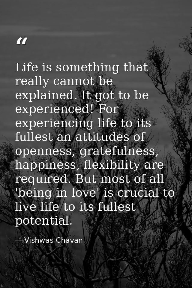 Life is something that really cannot be explained. It got to be experienced! For experiencing life to its fullest an att — Vishwas Chavan