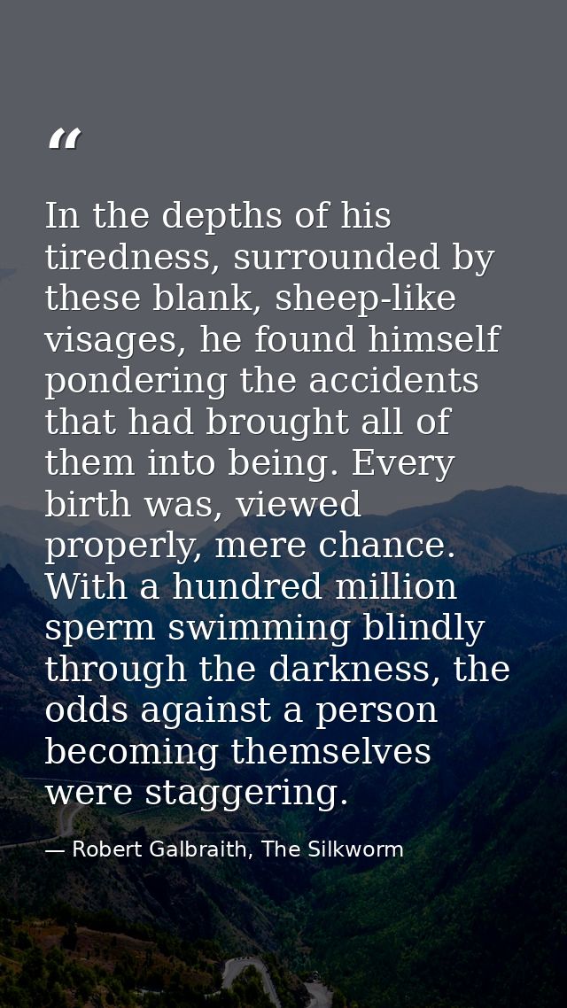 In the depths of his tiredness, surrounded by these blank, sheep-like visages, he found himself pondering the accidents  — Robert Galbraith, The Silkworm