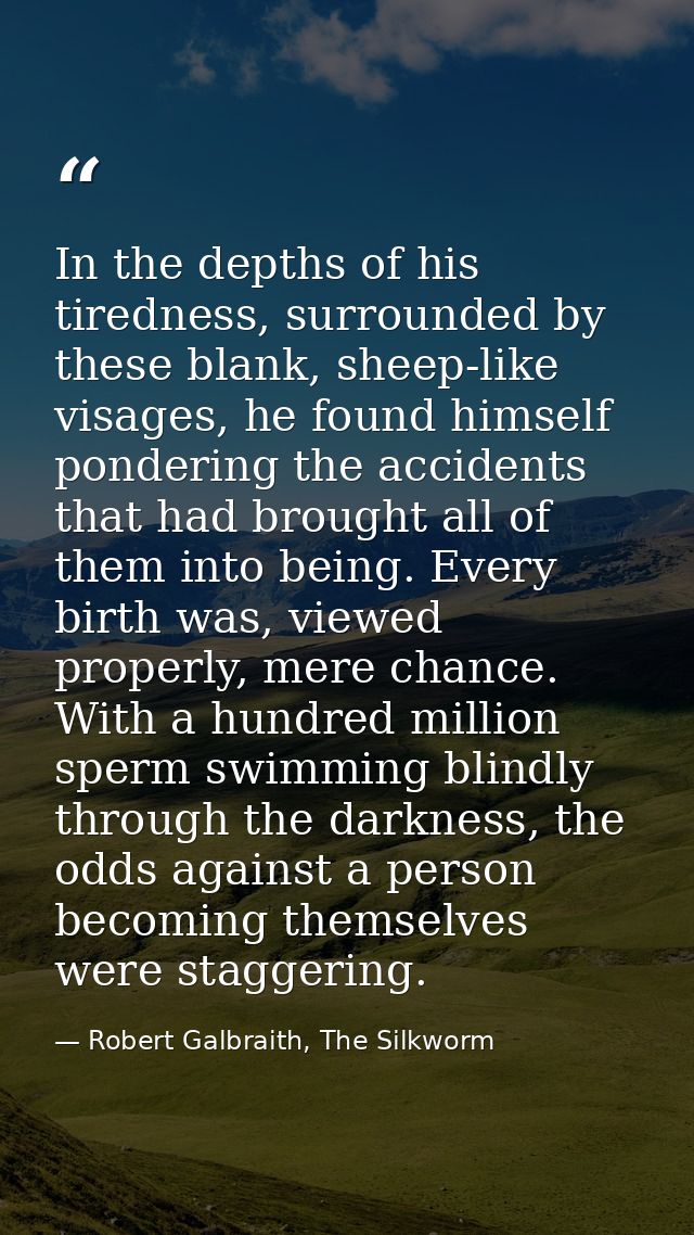 In the depths of his tiredness, surrounded by these blank, sheep-like visages, he found himself pondering the accidents  — Robert Galbraith, The Silkworm
