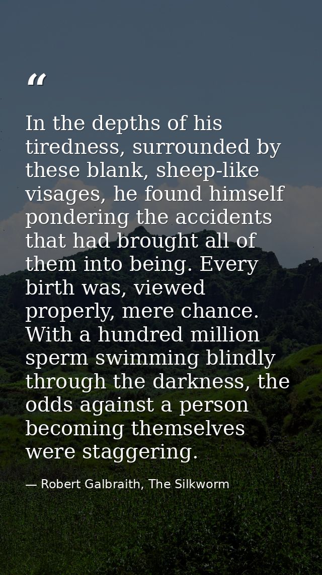 In the depths of his tiredness, surrounded by these blank, sheep-like visages, he found himself pondering the accidents  — Robert Galbraith, The Silkworm